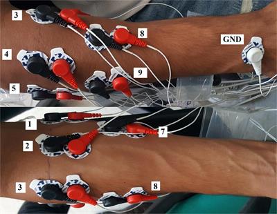Transfer learning in hand movement intention detection based on surface electromyography signals